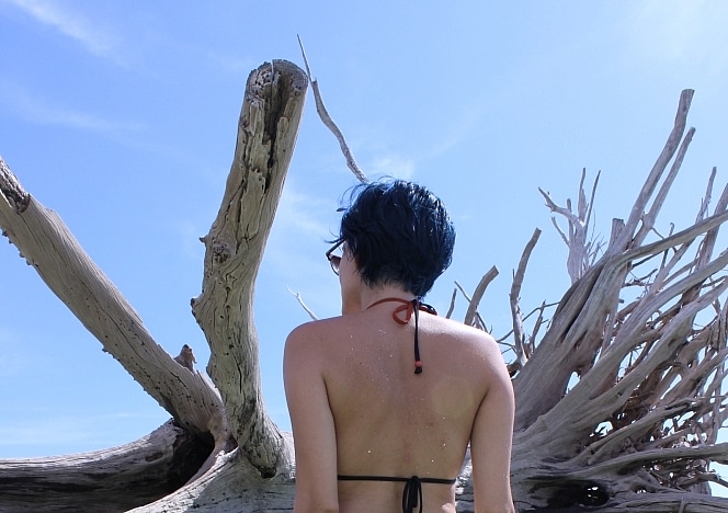 Tree beach
